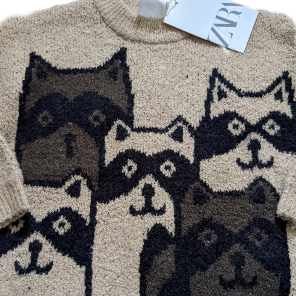 NWT ZARA Raccoon Boys Sweater - Picture 3 of 4